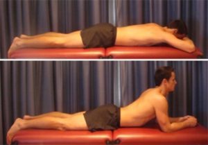 Lower Back Stretches - Prone on Elbows