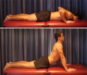 rectus abdominis stretch