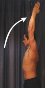 Exercises for a Pectoral Strain - Shoulder Flexion