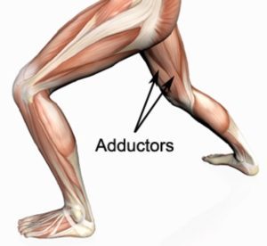 Adductor Tendonitis - Groin Inflammation - Symptoms, Treatment & Rehab