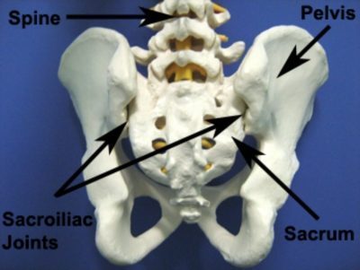 Sacroiliac Joints