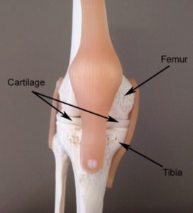 Ulnar Nerve Compression - PhysioAdvisor