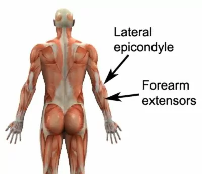 Forearm pain deals near elbow