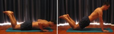 Pectoral Exercises - Knee Push Up