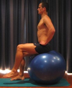Swiss Ball Sitting Leg Lifts
