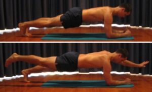 Advanced Pilates Exercises - Prone Hold with Opposite Arm & Leg Raise