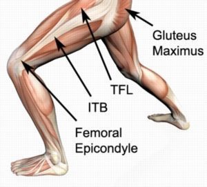Relevant Anatomy for Iliotibial Band Syndrome