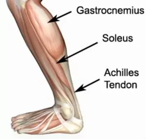 Lower calf upper on sale achilles tendon pain