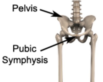 Osteitis Pubis (Pubic Symphysis Dysfunction) Treatment & Causes