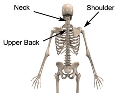 Referred Shoulder Pain