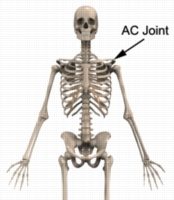 Shoulder Pain Diagnosis Guide - AC Joint Anatomy 