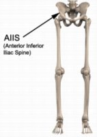 Thigh Injury Diagnosis -Anterior Inferior Iliac Spine
