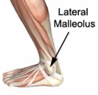 Ankle Pain - Lateral Malleolus Anatomy