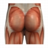Buttock Injuries
