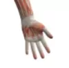 Wrist & Hand Injury Diagnosis