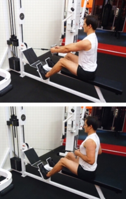Cable Exercises - Seated Row