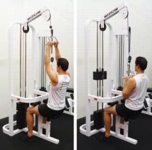 Cable Exercises - Lat Pulldown (Close Grip)