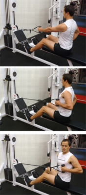 Cable Exercises - Seated Row (Single Arm with Trunk Rotation)