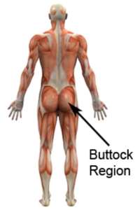 Buttock Region
