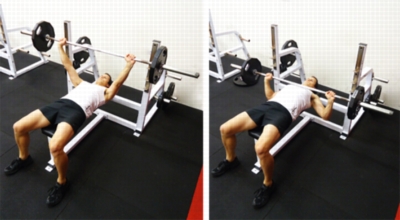 Free Weight Exercises - Bench Press