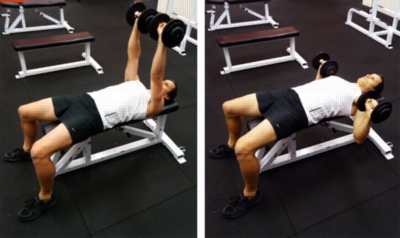 Free Weight Exercises - Dumbbell Bench Press