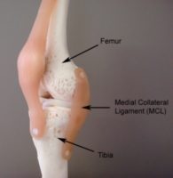 Knee Pain - MCL Tear Anatomy