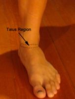 Ankle Pain - Talus Region